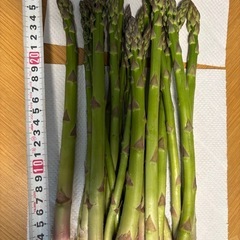 朝採れアスパラ　