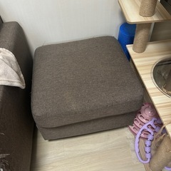 破れあり ソファの画像