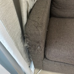 破れあり ソファの画像