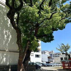 第1回　残1枠　若宮NOMI MARKET 出店募集（室内のみ） − 福岡県