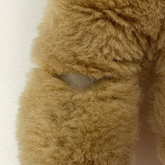 くまのぬいぐるみの画像