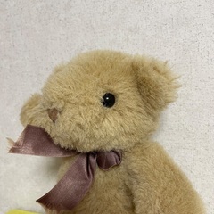 くまのぬいぐるみの画像
