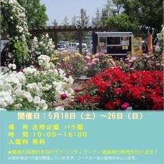 彦根市庄境公園バラカフェ