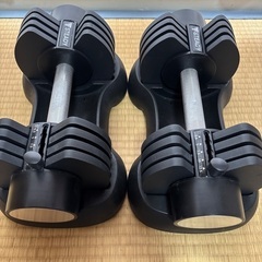 10,000円❗️STEADY 可変式ダンベル 12.5kg 2個セットの画像
