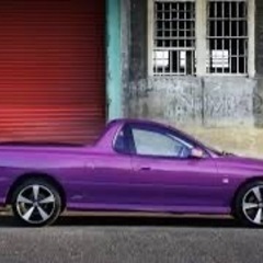 欧州や米国以外の輸入自動車の車検等 − 栃木県