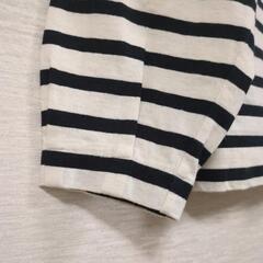 ボ−ダ−カットソーの画像