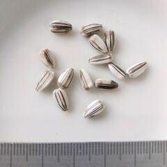 秋咲きひまわりの種　50粒　農薬不使用 2024年採種の画像