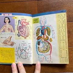 古い体の本の画像