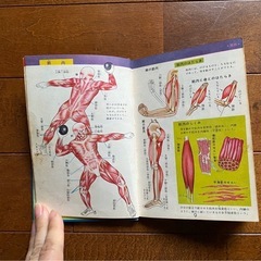 古い体の本の画像