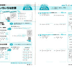 【新品未使用】▼中学2年ポピー数学4月号：中間テスト対策に最適！の画像