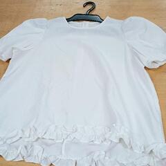 0517-009 婦人服