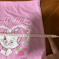 ディズニー　Lovely Marie　巾着の画像