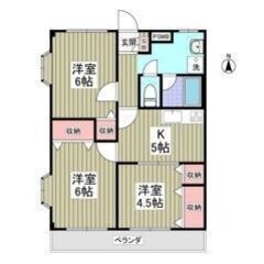 🧡💛初期費用8万円パック＆フリーレント1ヶ月付き💛🧡ペット相談可...