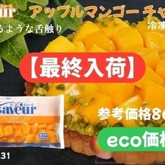 冷凍アップルマンゴー500g 遂に最終入荷！