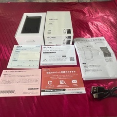 ソニー ウォークマン 32GB A300シリーズ NW-A306...