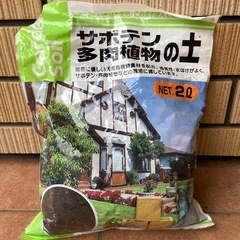 多肉植物　サボテン　土　ガーデニング