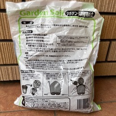 多肉植物　サボテン　土　ガーデニングの画像