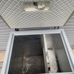 2000円値下げ　サバルヤシ　超耐寒性 値下げ サバルヤシ 超耐寒性