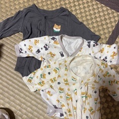 60センチ服