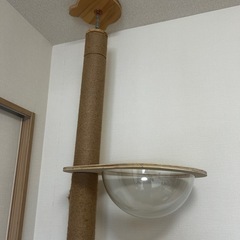 キャットタワーの画像