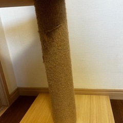 キャットタワーの画像