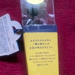 未使用！Q-FLAケリーバスフラワーRSの画像