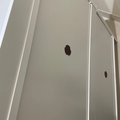 5/24までの限定！シューズラックの画像