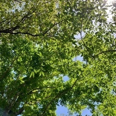 あなたの痛みや苦しみを心身共に癒します。