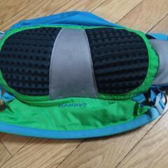 譲渡者決定‼️半額‼️をもっとお値下げします‼️【MAMMUT】ボディーヒップバッグの画像