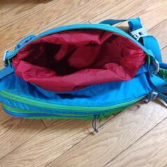 譲渡者決定‼️半額‼️をもっとお値下げします‼️【MAMMUT】ボディーヒップバッグの画像