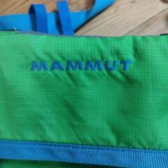 譲渡者決定‼️半額‼️をもっとお値下げします‼️【MAMMUT】ボディーヒップバッグの画像