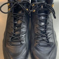 ナイキ エアジョーダン12レトロ 28cmの画像