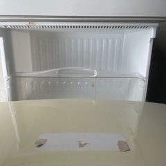 ファミリー冷蔵庫無料！の画像