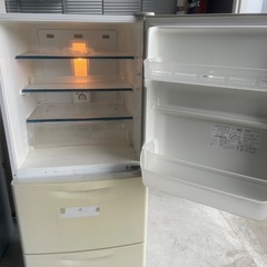 ファミリー冷蔵庫無料！の画像