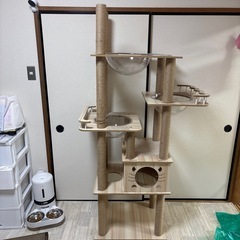 キャットタワー