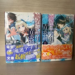 魔遁のアプリと青炎剣
の画像