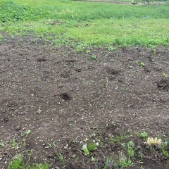 残土頂けませんか？