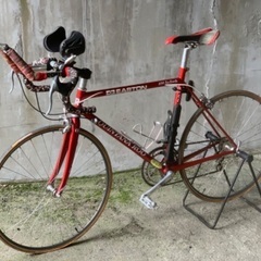 Quintana Roo USA Zero Gravity クイ...