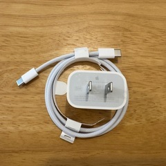 未使用) アップル 充電器 アクセサリー