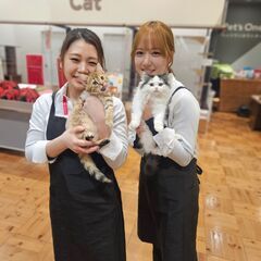 「ペットショップワンラブ」ゆめタウン別府店　接客販売スタッ…