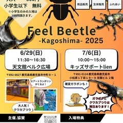Feel Beetle -Kagoshima-(2025)
