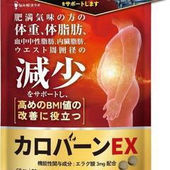 カロバーンEX 30日分 肥満気味の方の体重 体脂肪の減少を助け...