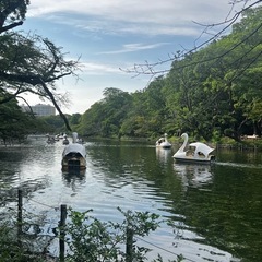 自然行くの好きな方