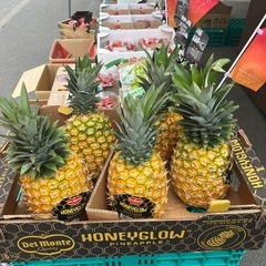 昨日即完売した一推し🍍ハニーグロー再入荷しました！✨