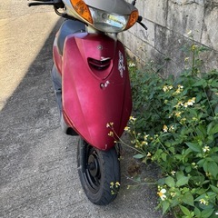 ヤマハ　ジョク