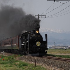 【6/1(日)】中高年写真撮影に出かけませんか。
