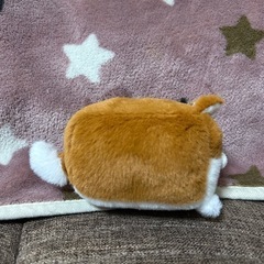 わんちゃんのぬいぐるみ　の画像