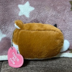 わんちゃんのぬいぐるみ　の画像