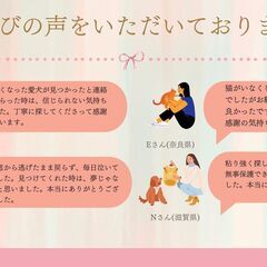 【ペット探偵】あなたの大切な家族見つけます【捜索】 − 大阪府