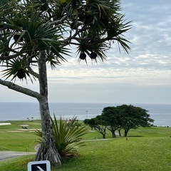 ゴルフやりませんか？⛳️